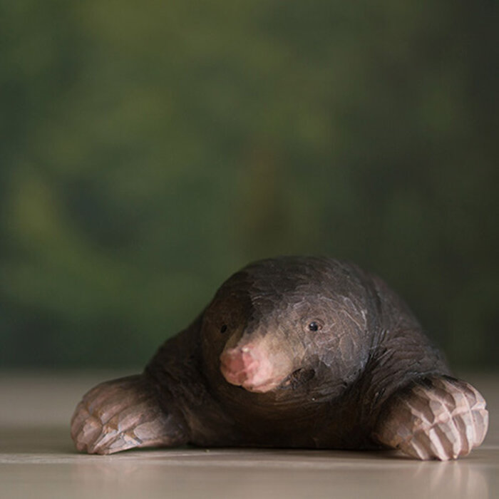 Wildlife Garden - European Mole