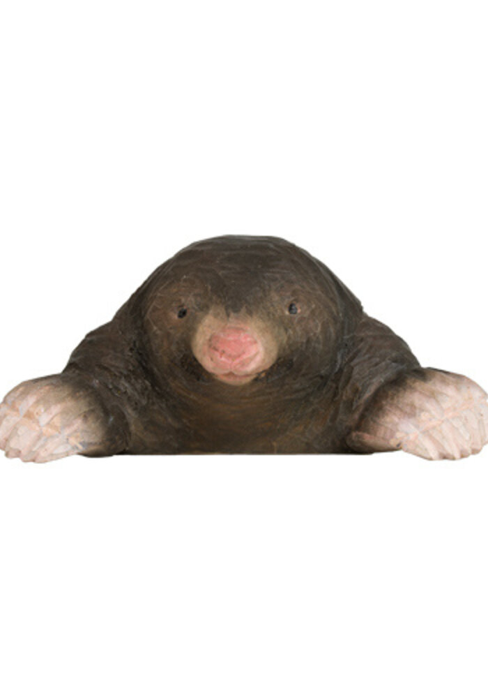 Wildlife Garden - European Mole