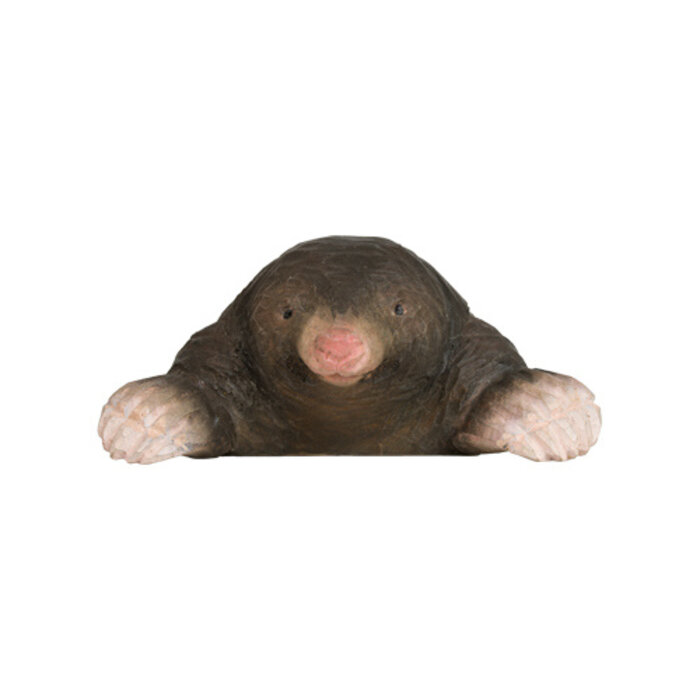 Wildlife Garden - European Mole