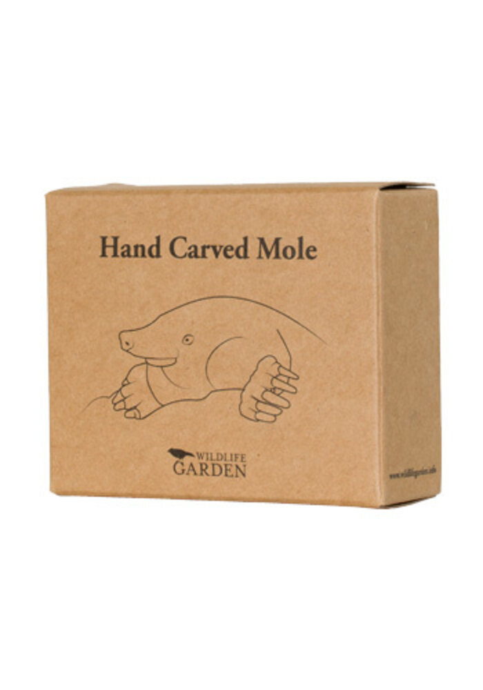 Wildlife Garden - European Mole