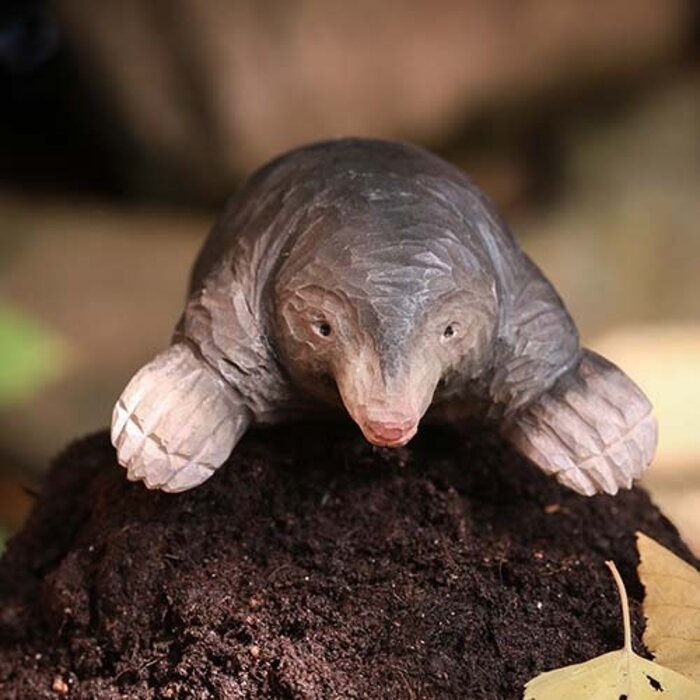 Wildlife Garden European Mole - Wildlife Garden