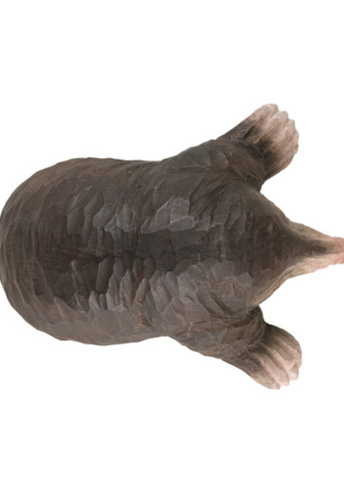 Wildlife Garden - European Mole