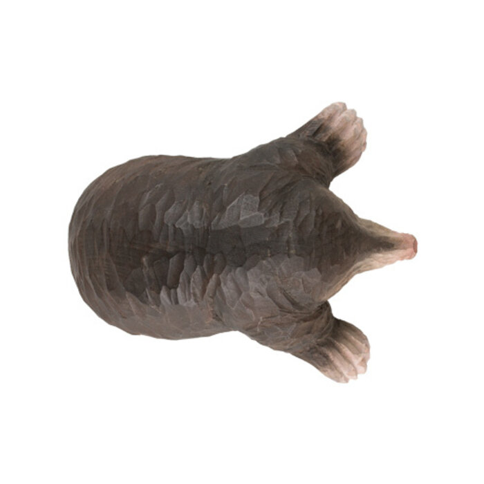 Wildlife Garden - European Mole