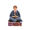 Harry Potter by Jim Shore Harry Potter by Jim Shore - Wizarding Whiskers (Ron Weasley Personality Pose PRE-ORDER)