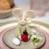 Sjaal met een Verhaal - Vingerpopje Funny Bunny Lieveheersbeestje