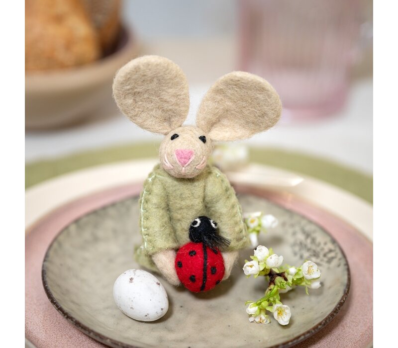 Sjaal met een Verhaal - Vingerpopje Funny Bunny Lieveheersbeestje