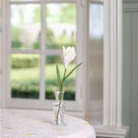 Sjaal met een Verhaal - Krokus Wit