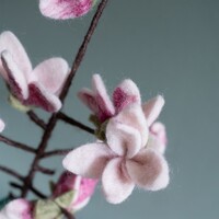 Sjaal met een Verhaal - Bloem: Tak: Magnolia