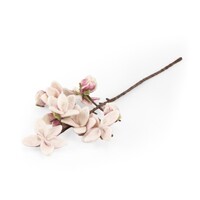 Sjaal met een Verhaal - Bloem: Tak: Magnolia