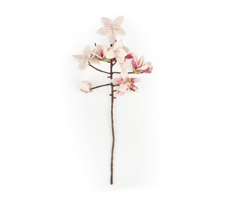 Sjaal met een Verhaal - Bloem: Tak: Magnolia