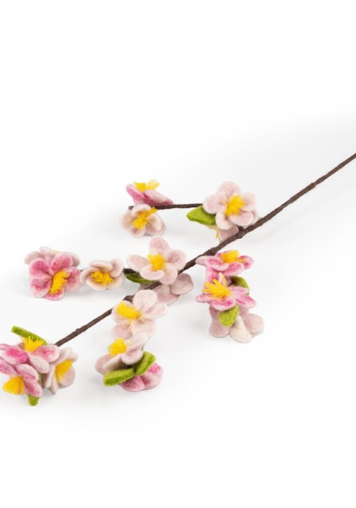 Sjaal met een Verhaal - Bloem: Tak: Appelbloesem