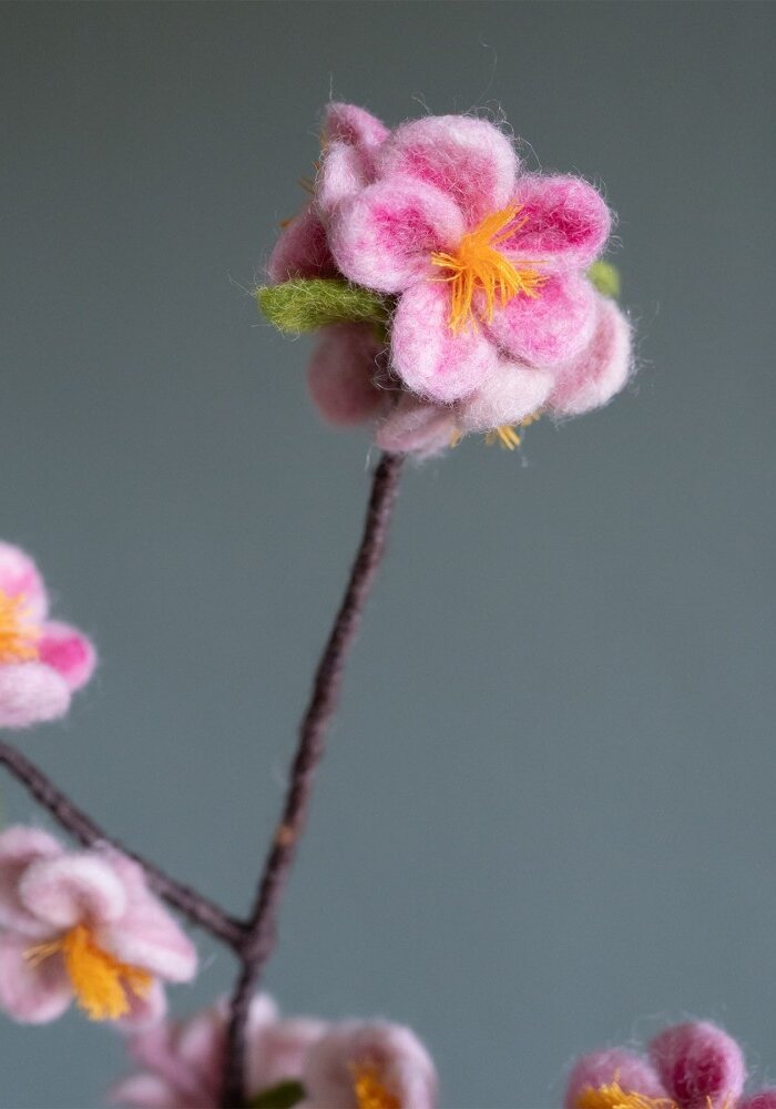Sjaal met een Verhaal - Bloem: Tak: Appelbloesem