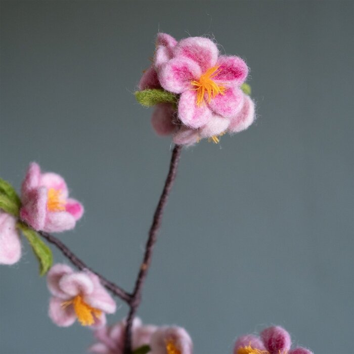 Sjaal met een Verhaal - Bloem: Tak: Appelbloesem