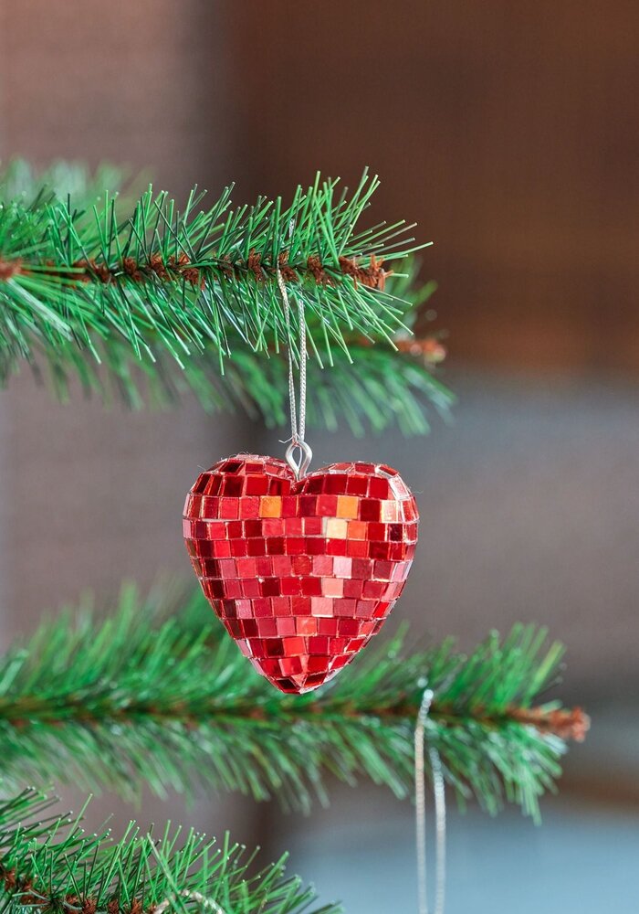 rice - Discobal Hart Klein - Rood