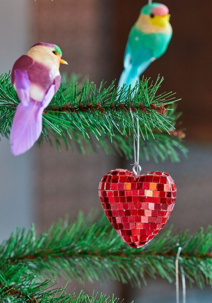 rice - Discobal Hart Klein - Rood