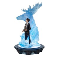 Wizarding World of Harry Potter - Harry & Patronus