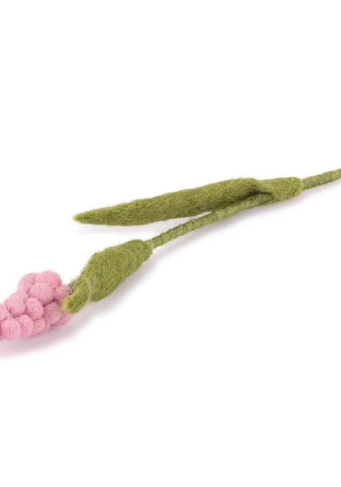 Sjaal met een Verhaal - Roze Druifje