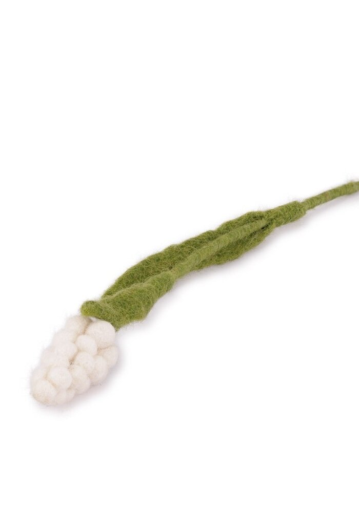 Sjaal met een Verhaal - Wit Druifje