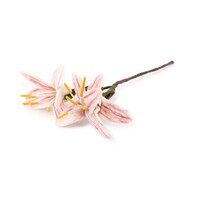 Sjaal met een Verhaal - Bloem: Tak: Lelie