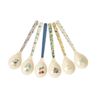 RICE - Set 6 Theelepels - “Show Your True Colors” prints