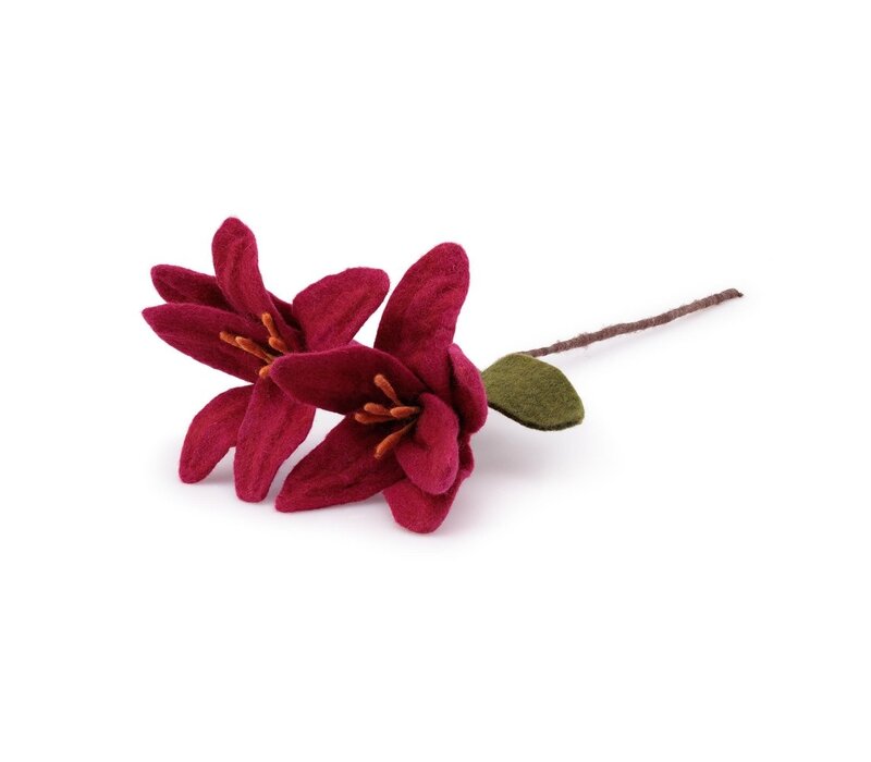 Sjaal met een Verhaal - Tak Lelie Burgundy