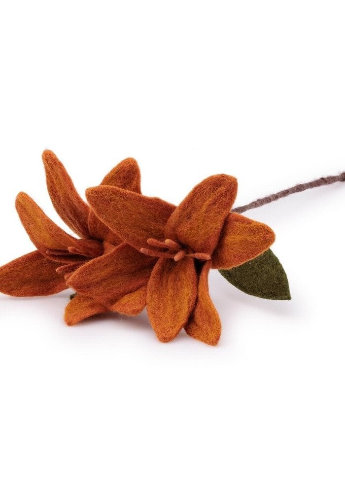 Sjaal met een Verhaal - Tak Lelie Cognac