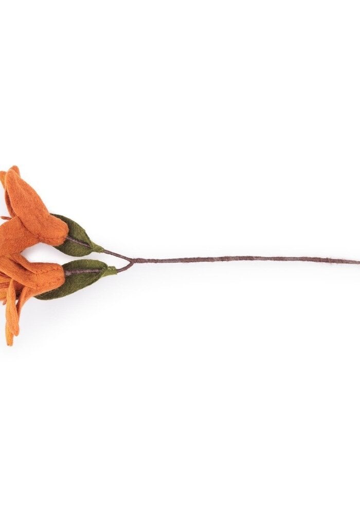 Sjaal met een Verhaal - Tak Lelie Cognac