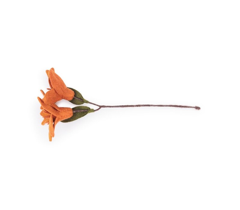 Sjaal met een Verhaal - Tak Lelie Cognac