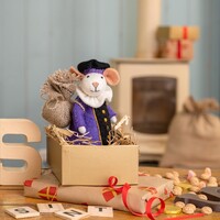 Sjaal met een Verhaal - Decoratie Muis Pietermuis Paars