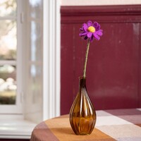 Sjaal met een Verhaal - Herfst Margrietje Violet