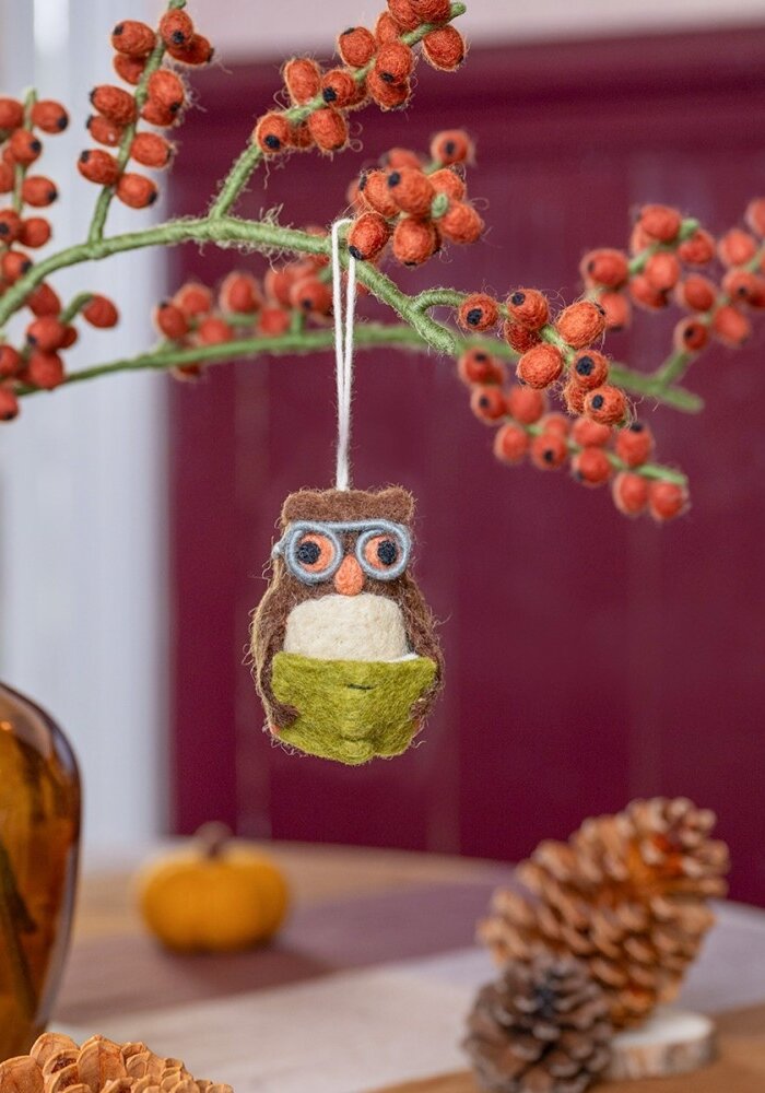 Sjaal met een Verhaal - Hanger Uil met Lichtgroen Boek