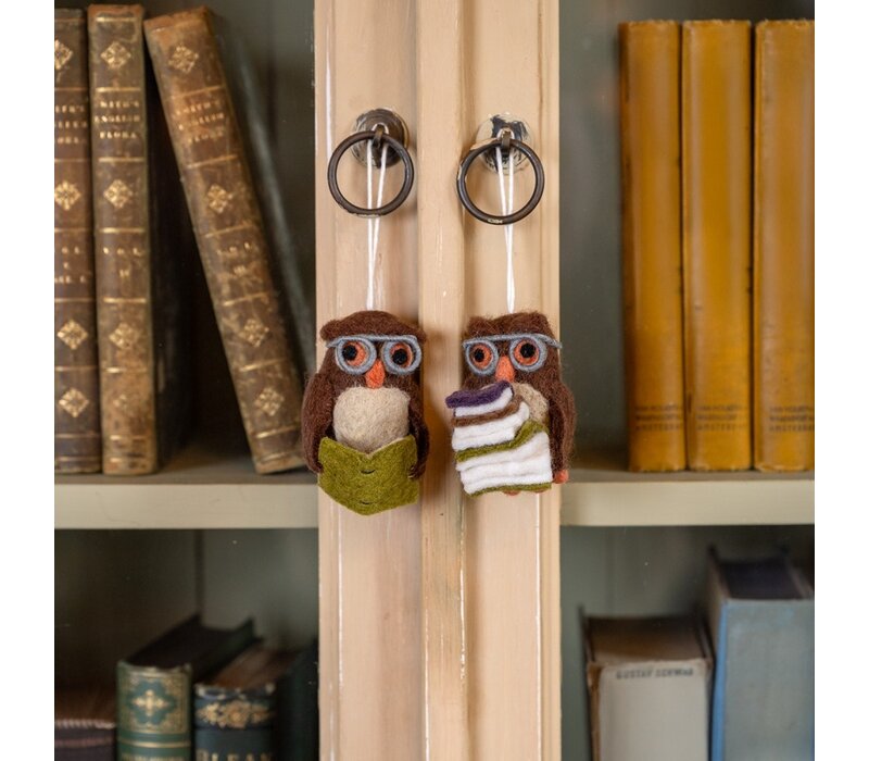 Sjaal met een Verhaal - Hanger Uil met Lichtgroen Boek