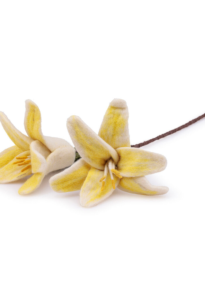 Sjaal met een Verhaal - Bloem: Tak: Lelie Wit-Geel