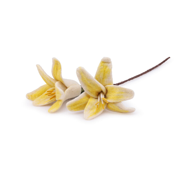 Sjaal met een Verhaal - Bloem: Tak: Lelie Wit-Geel