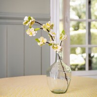 Sjaal met een Verhaal - Tak: Perenbloesem