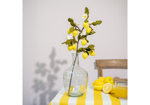 Sjaal met Verhaal Tak: Citroen - Sjaal met een Verhaal