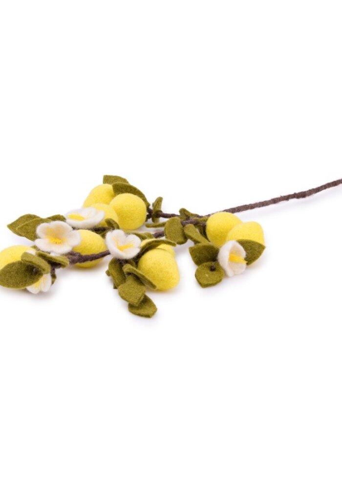 Sjaal met een Verhaal - Tak: Citroen