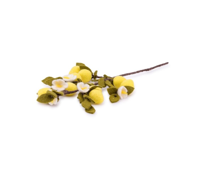 Sjaal met een Verhaal - Tak: Citroen