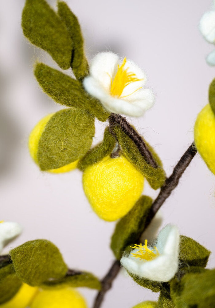 Sjaal met een Verhaal - Tak: Citroen