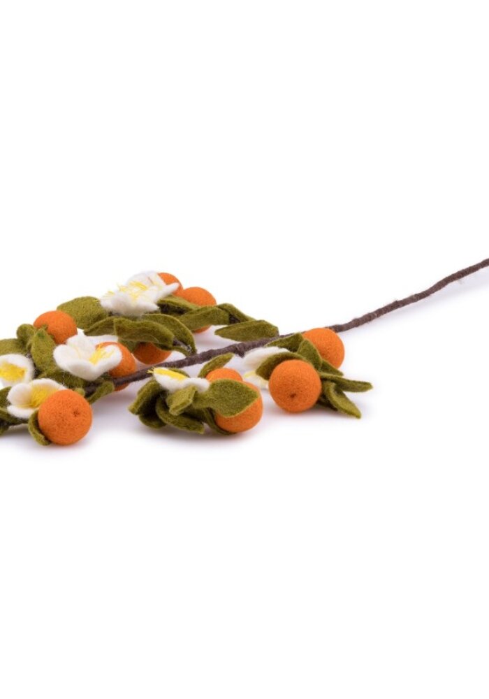Sjaal met een Verhaal - Tak: Sinaasappel