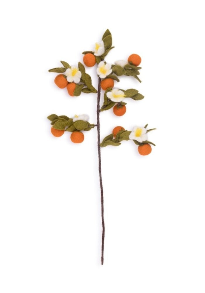 Sjaal met een Verhaal - Tak: Sinaasappel