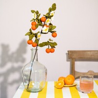 Sjaal met een Verhaal - Tak: Sinaasappel