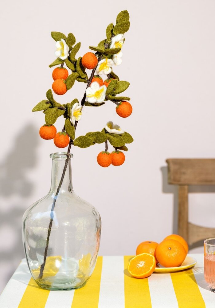 Sjaal met een Verhaal - Tak: Sinaasappel