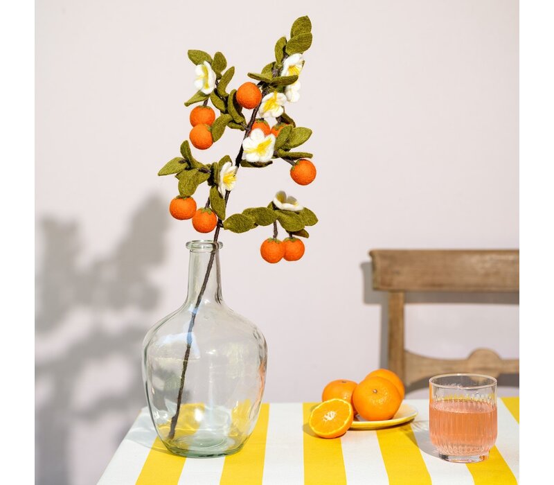 Sjaal met een Verhaal - Tak: Sinaasappel