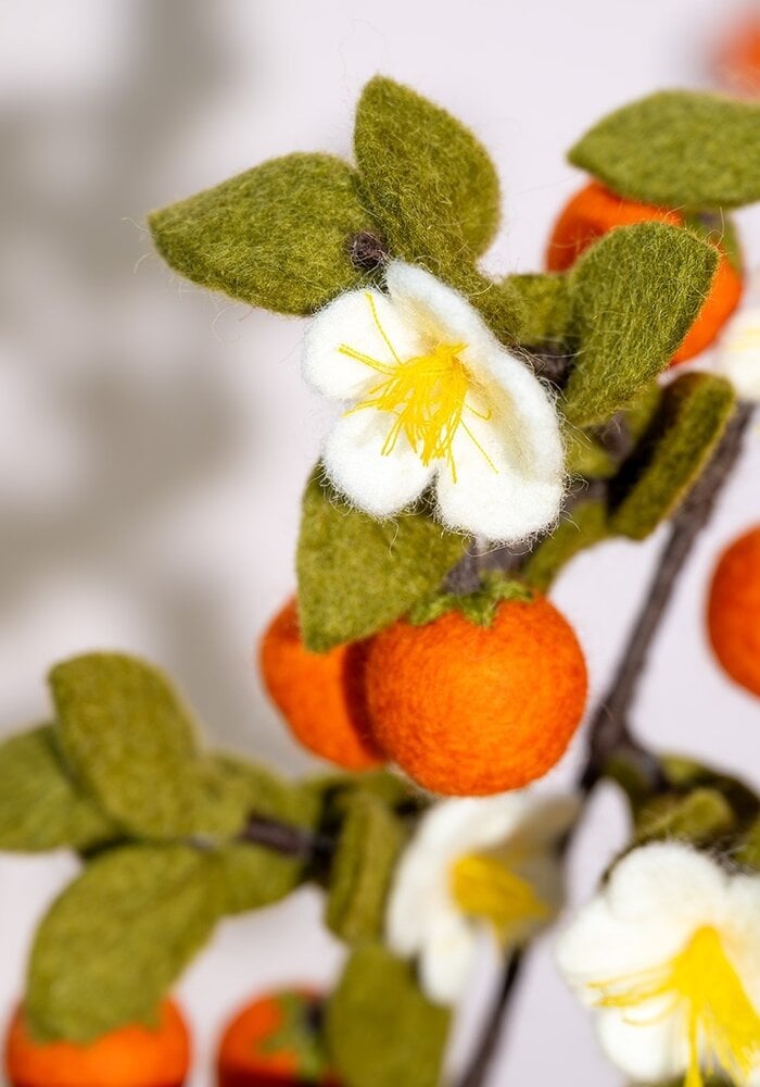 Sjaal met een Verhaal - Tak: Sinaasappel