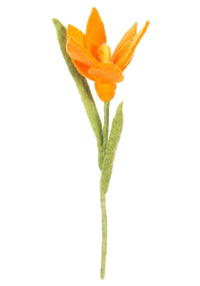 Sjaal met een Verhaal - Krokus Oranje