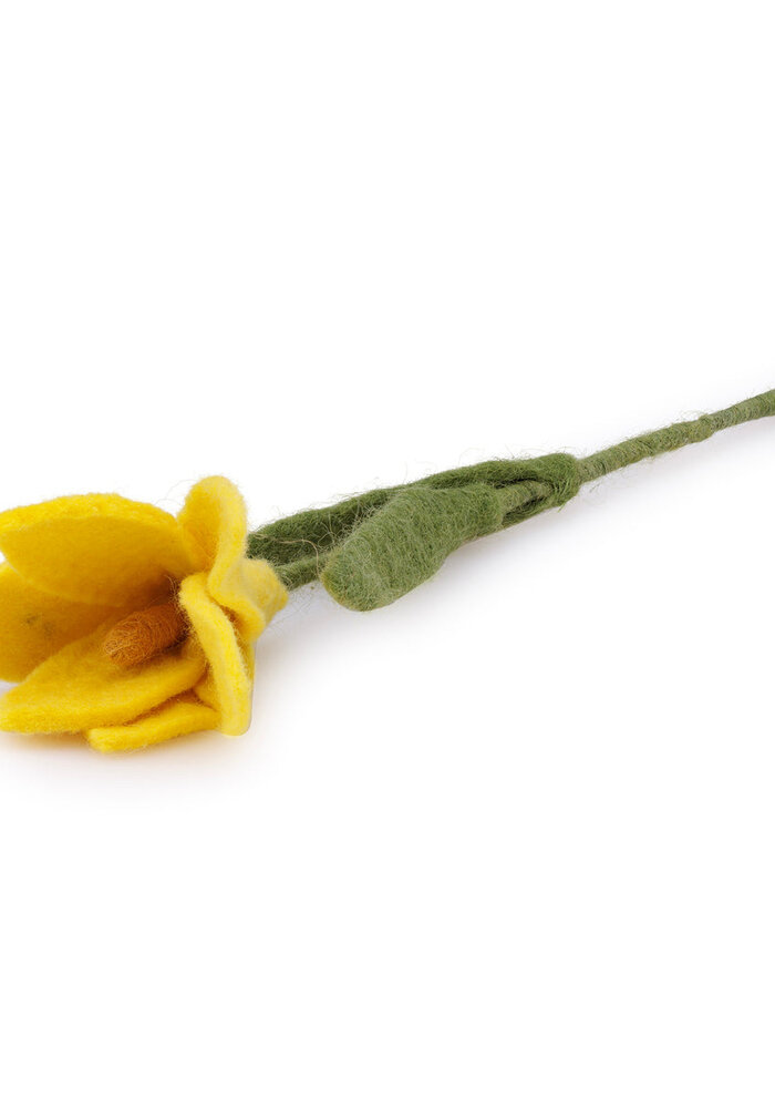 Sjaal met een Verhaal - Krokus Geel