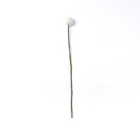 Sjaal met Verhaal - Craspedia's Mistletoe (3 stuks)