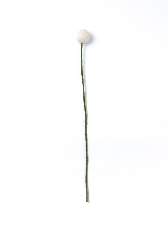 Sjaal met Verhaal - Craspedia's Mistletoe (3 stuks)