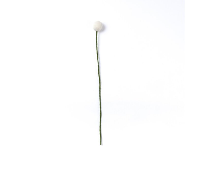 Sjaal met Verhaal - Craspedia's Mistletoe (3 stuks)